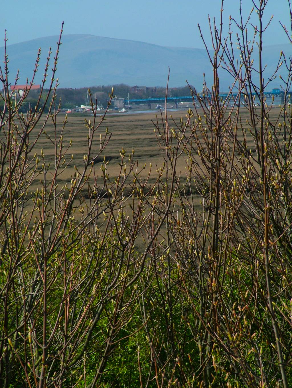 Click now to see this image full size.