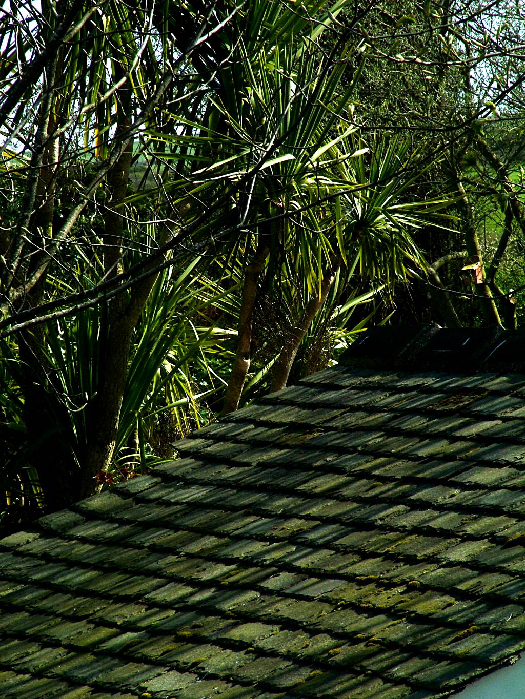 Click now to see this image full size.