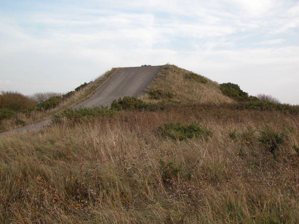 Click now to see this image full size.