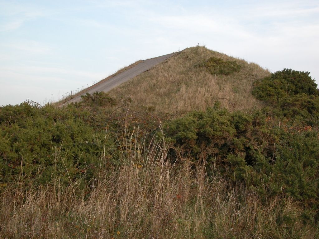 Click now to see this image full size.