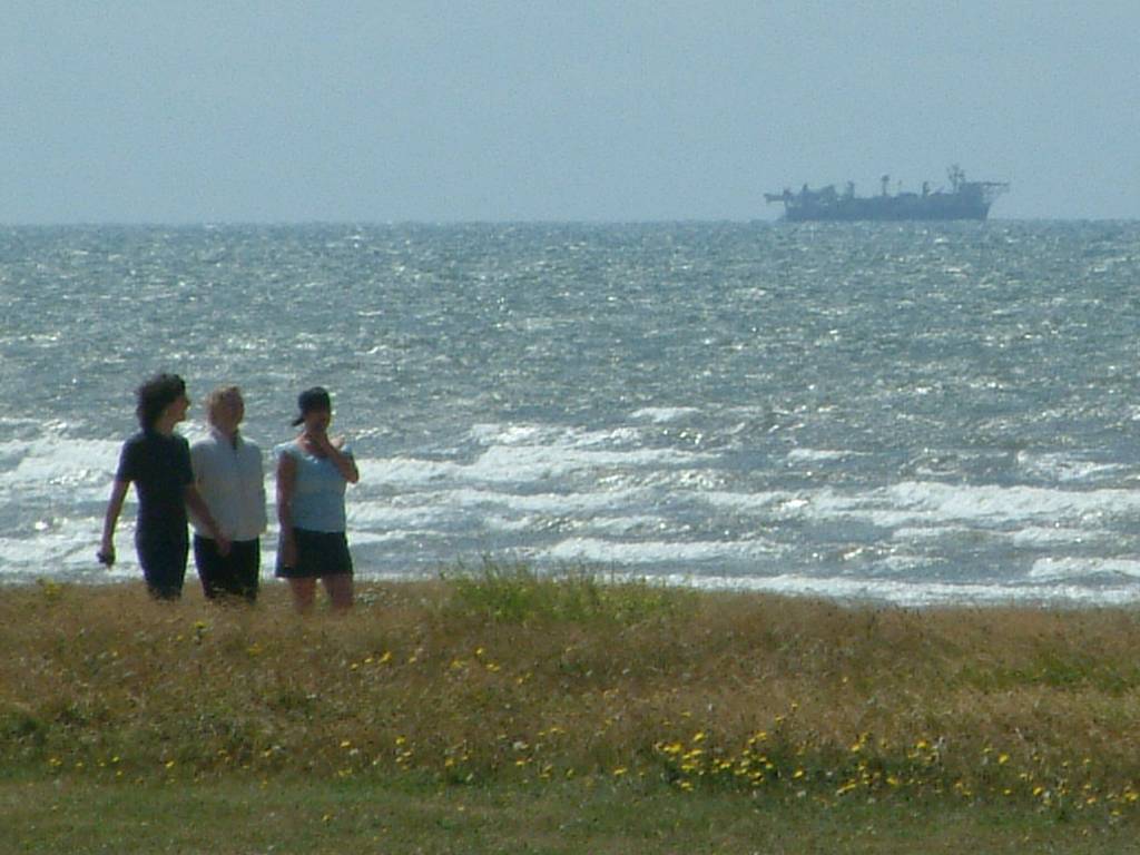 Click now to see this image full size.