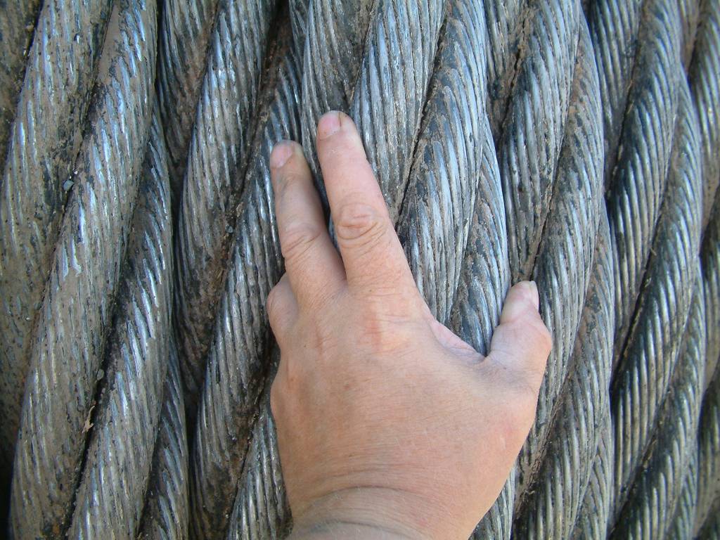 Click now to see this image full size.