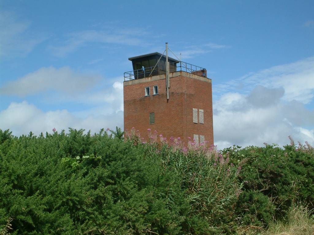 Click now to see this image full size.