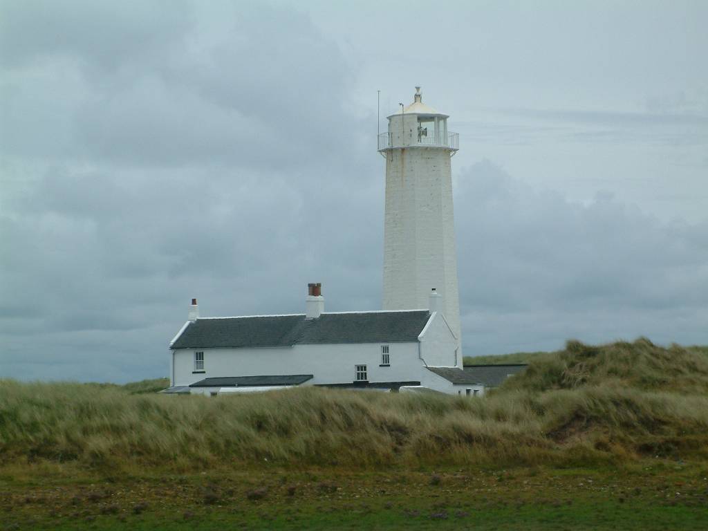 Click now to see this image full size.