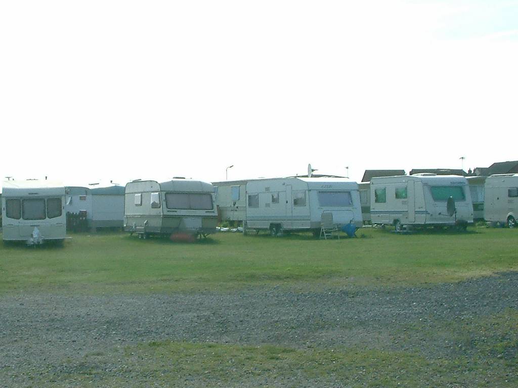 Click now to see this image full size.