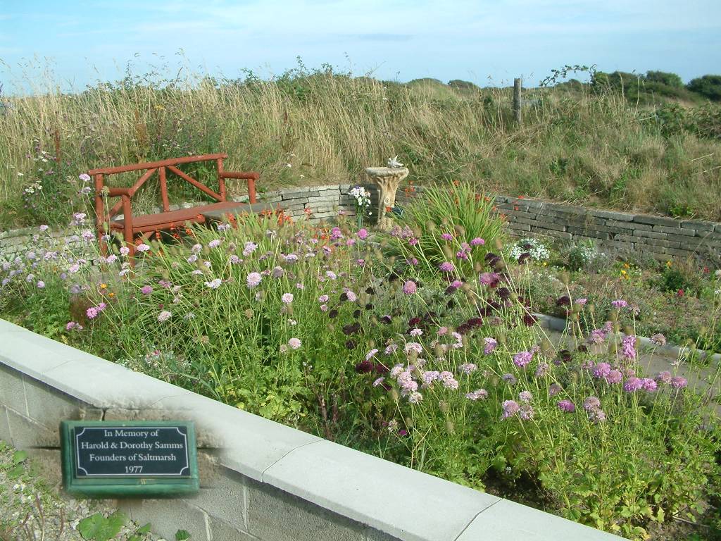 Click now to see this image full size.