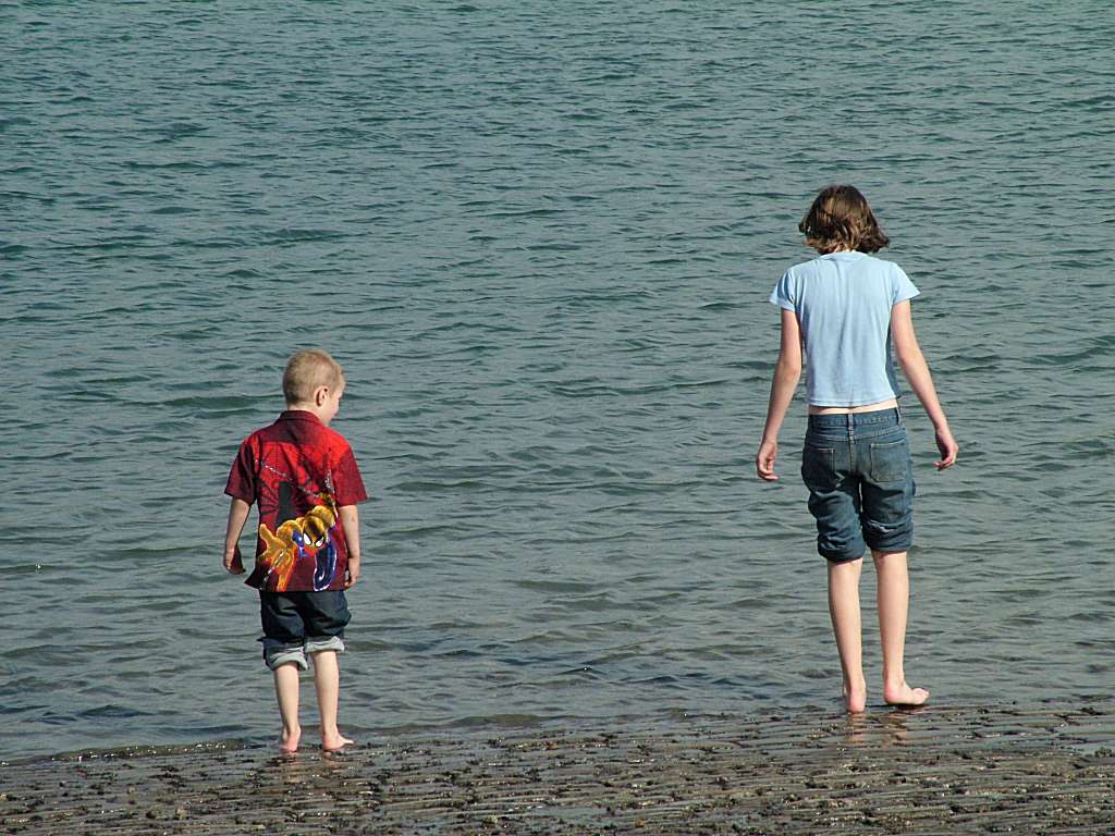 Click now to see this image full size.