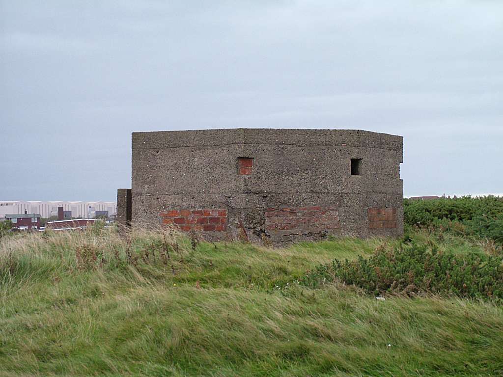 Click now to see this image full size.