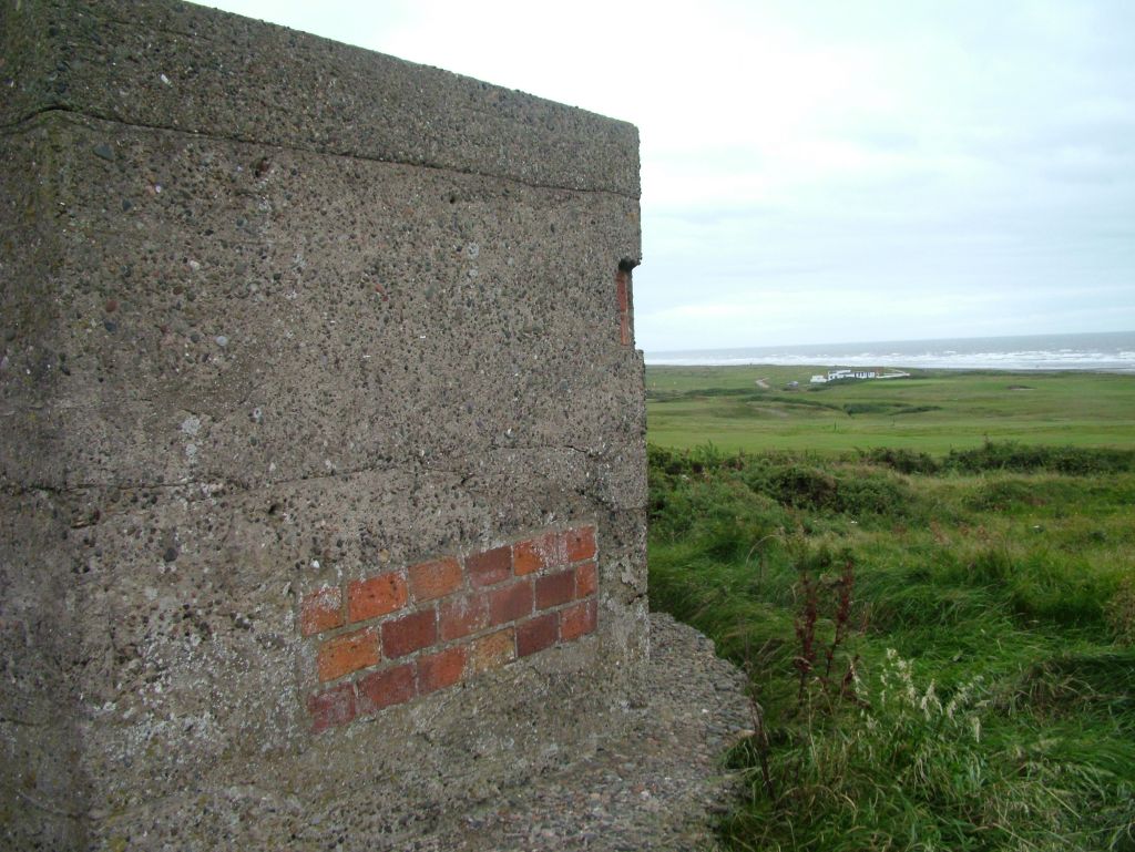 Click now to see this image full size.