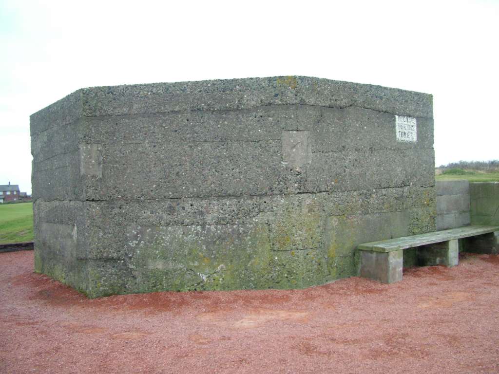 Click now to see this image full size.