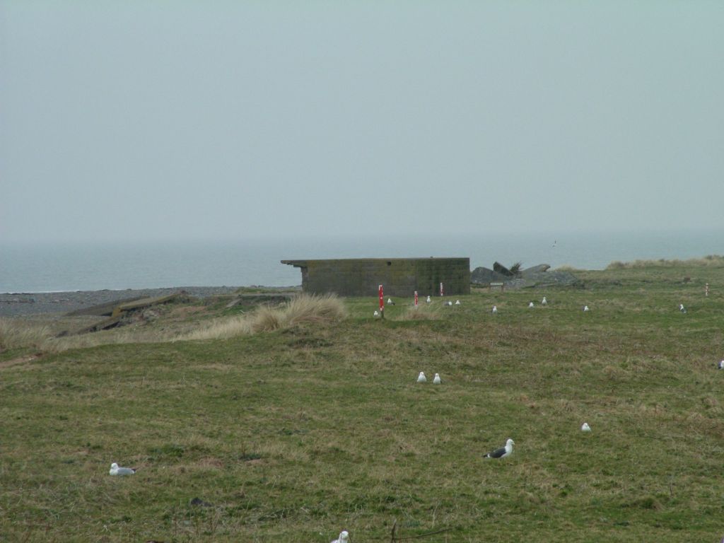 Click now to see this image full size.