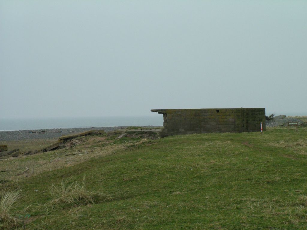 Click now to see this image full size.