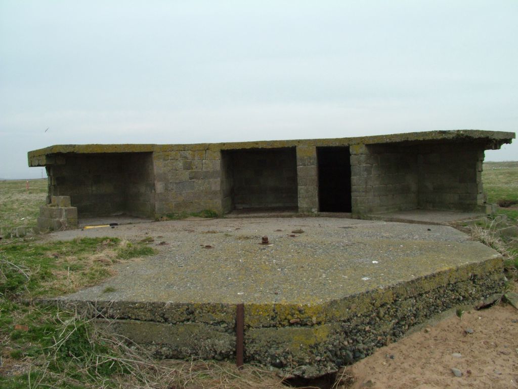 Click now to see this image full size.