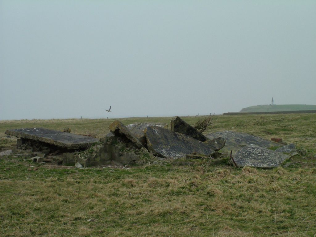 Click now to see this image full size.