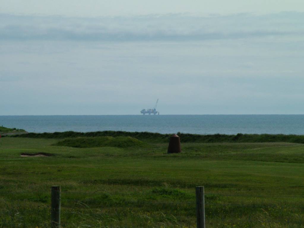 Click now to see this image full size.