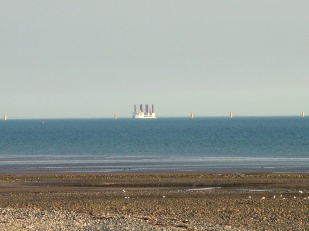 Click now to see this image full size.