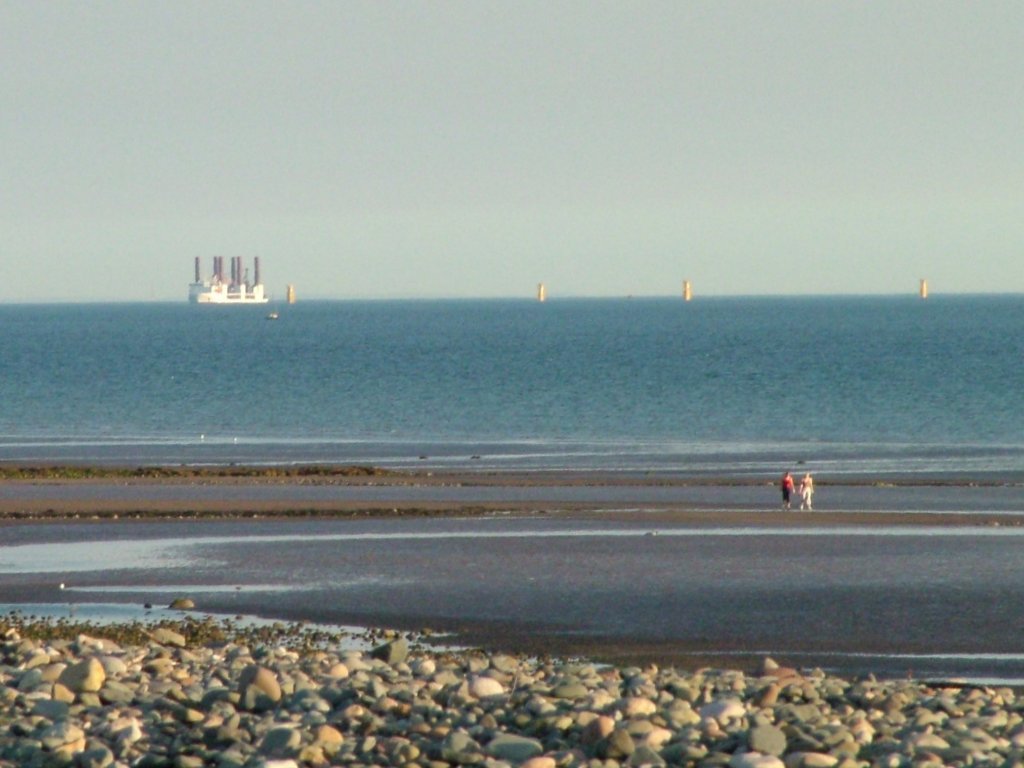 Click now to see this image full size.