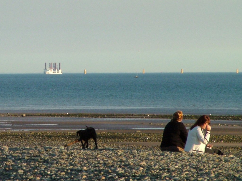 Click now to see this image full size.