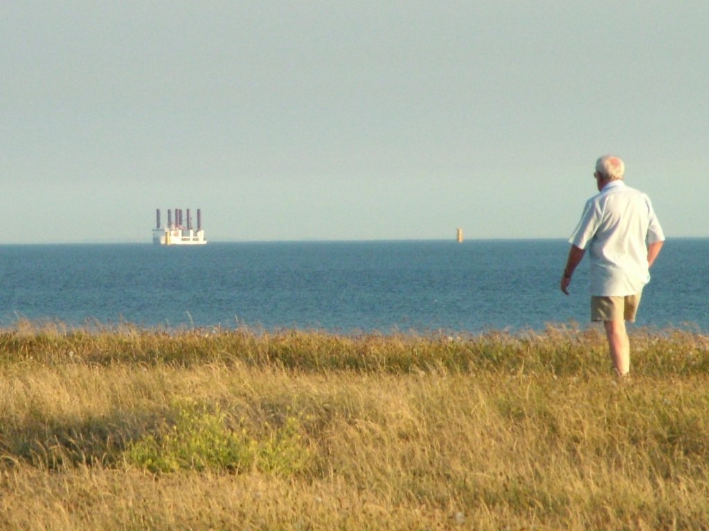 Click now to see this image full size.