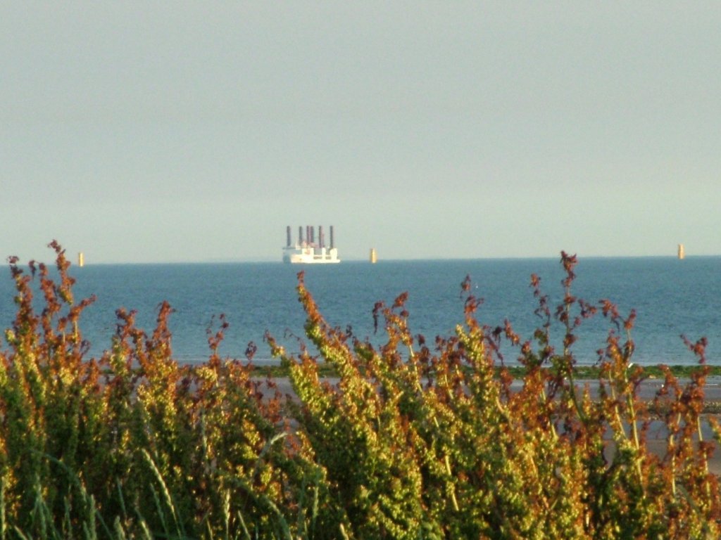 Click now to see this image full size.