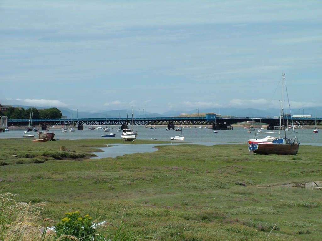 Click now to see this image full size.