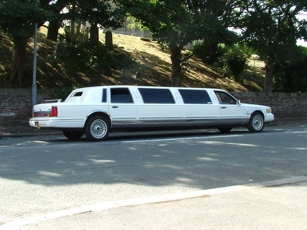 Click now to see this image full size.