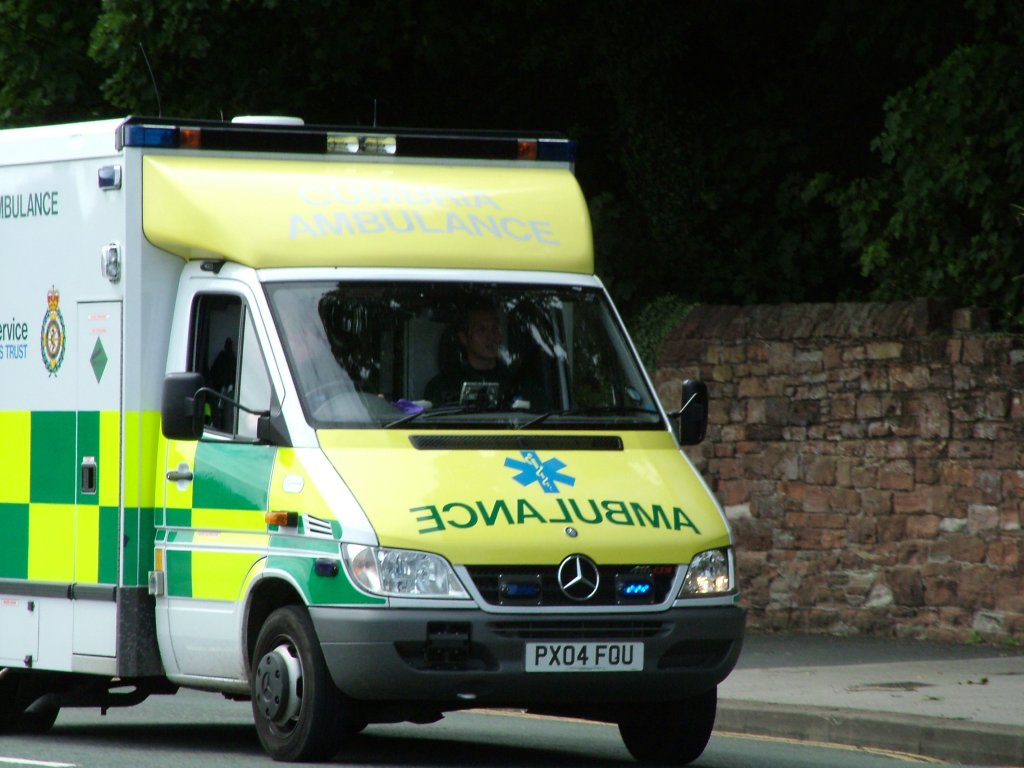 Click now to see this image full size.