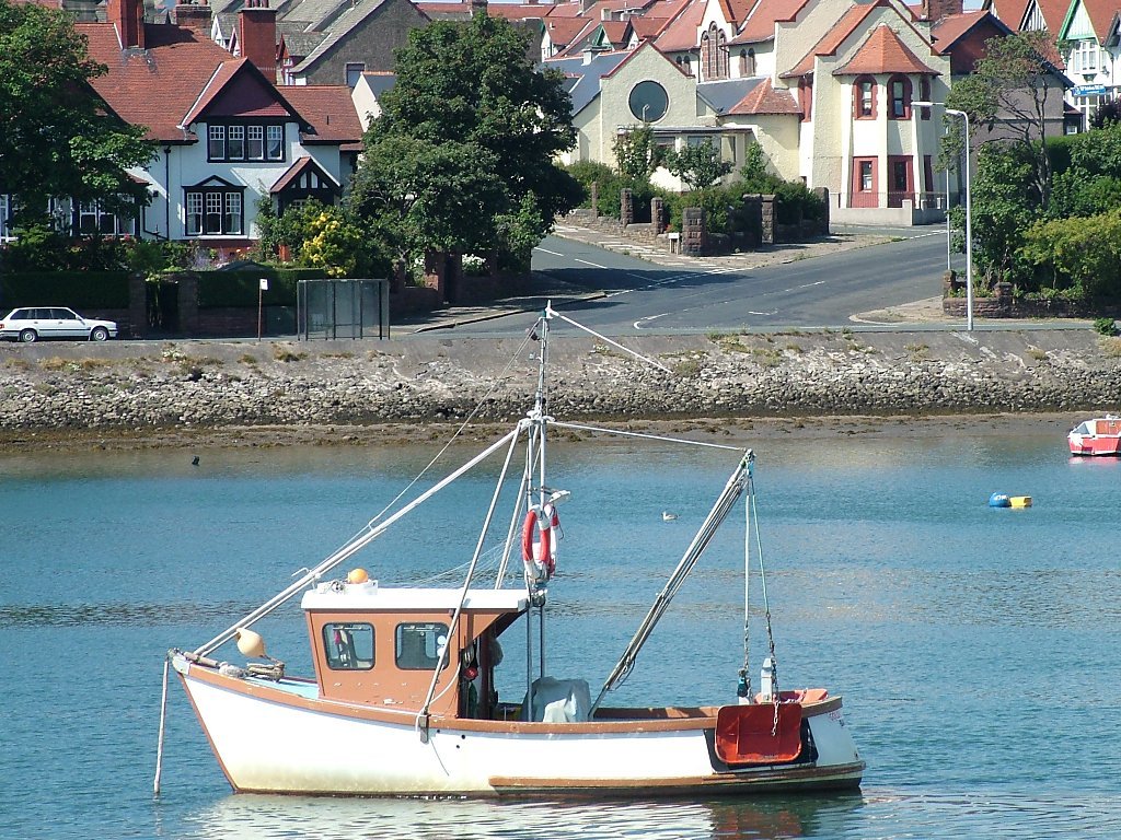 Click now to see this image full size.