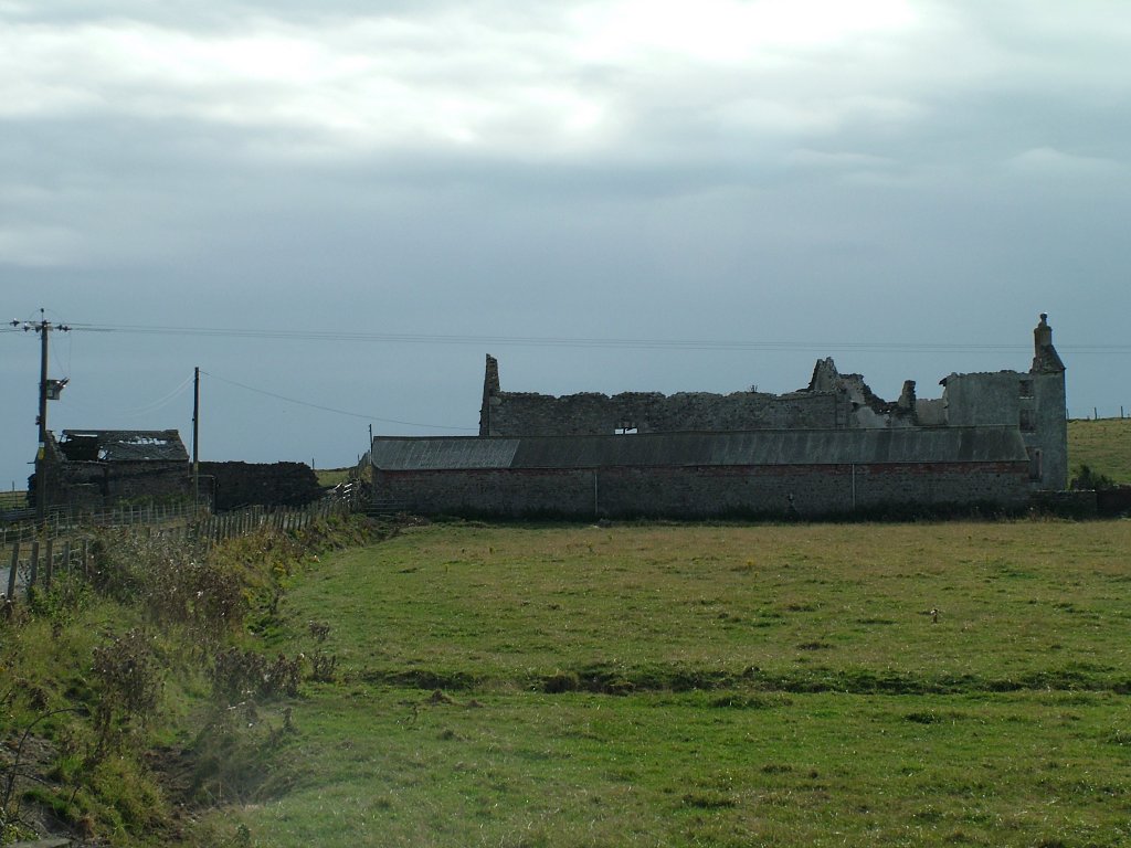 Click now to see this image full size.