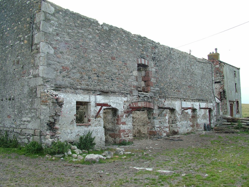 Click now to see this image full size.