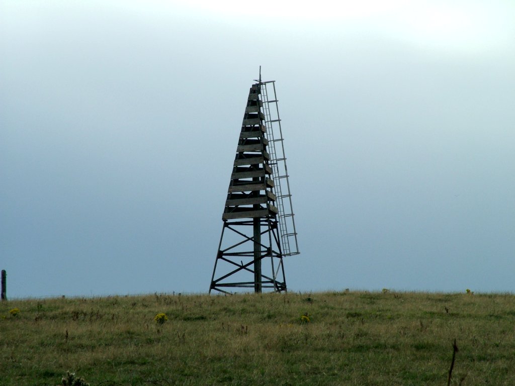 Click now to see this image full size.