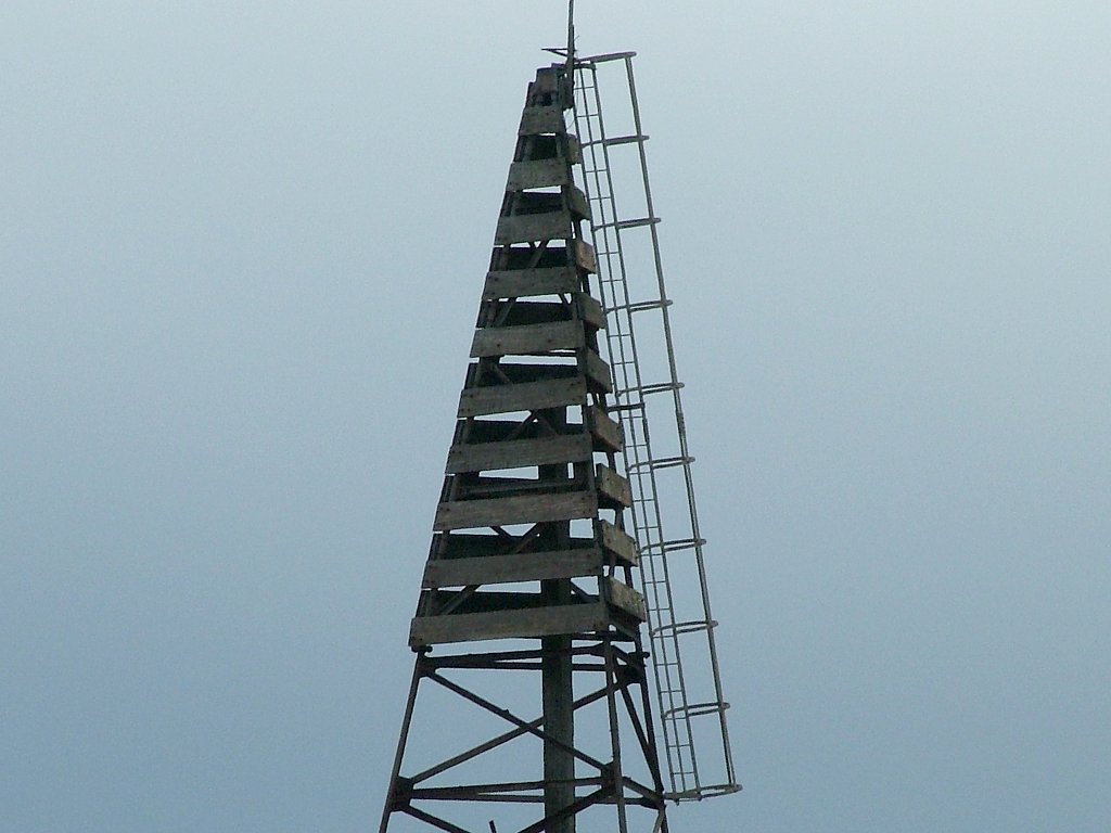 Click now to see this image full size.