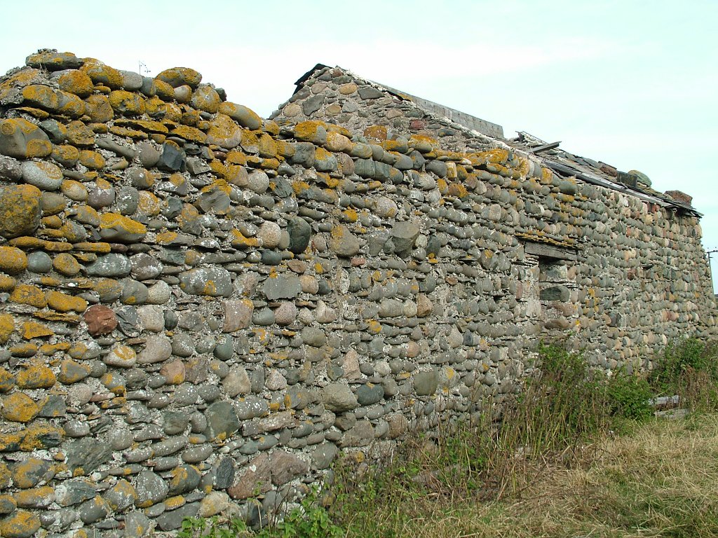 Click now to see this image full size.