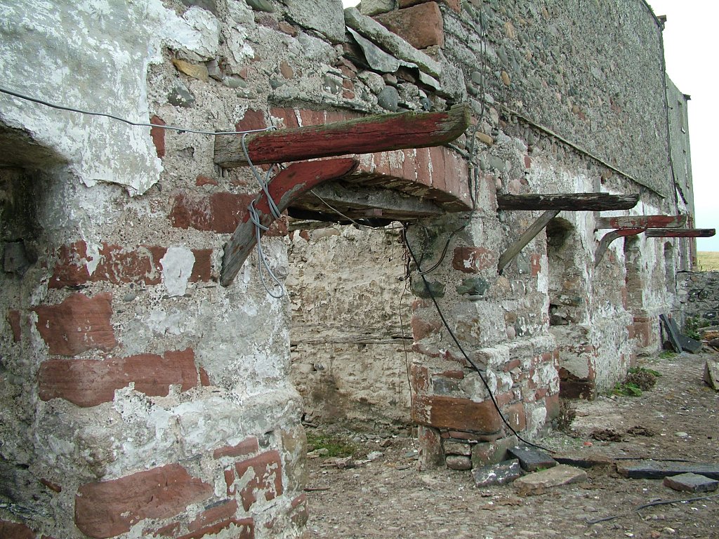 Click now to see this image full size.