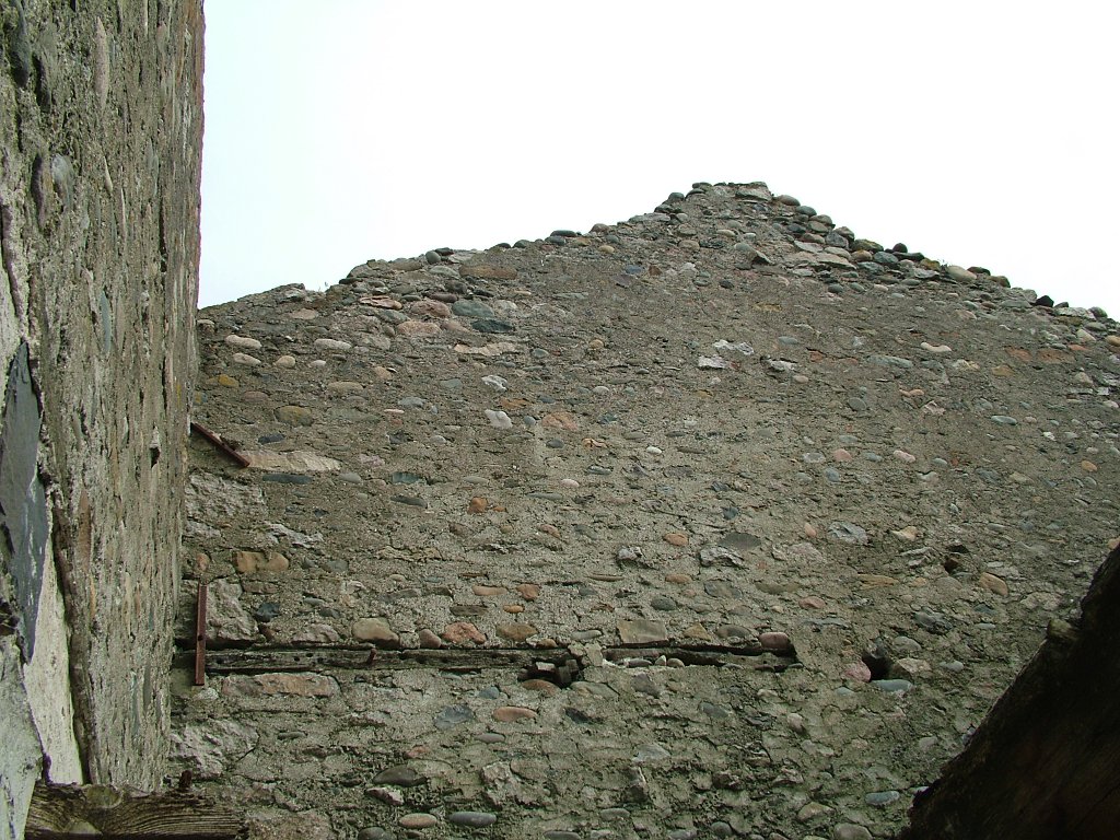 Click now to see this image full size.