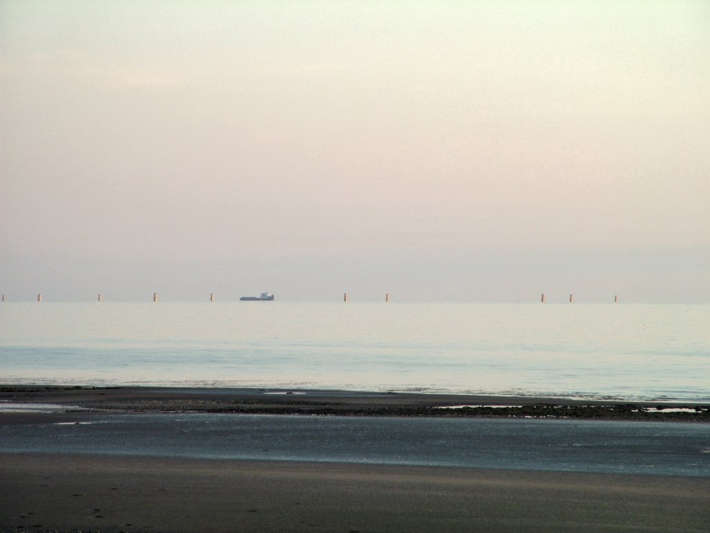 Click now to see this image full size.