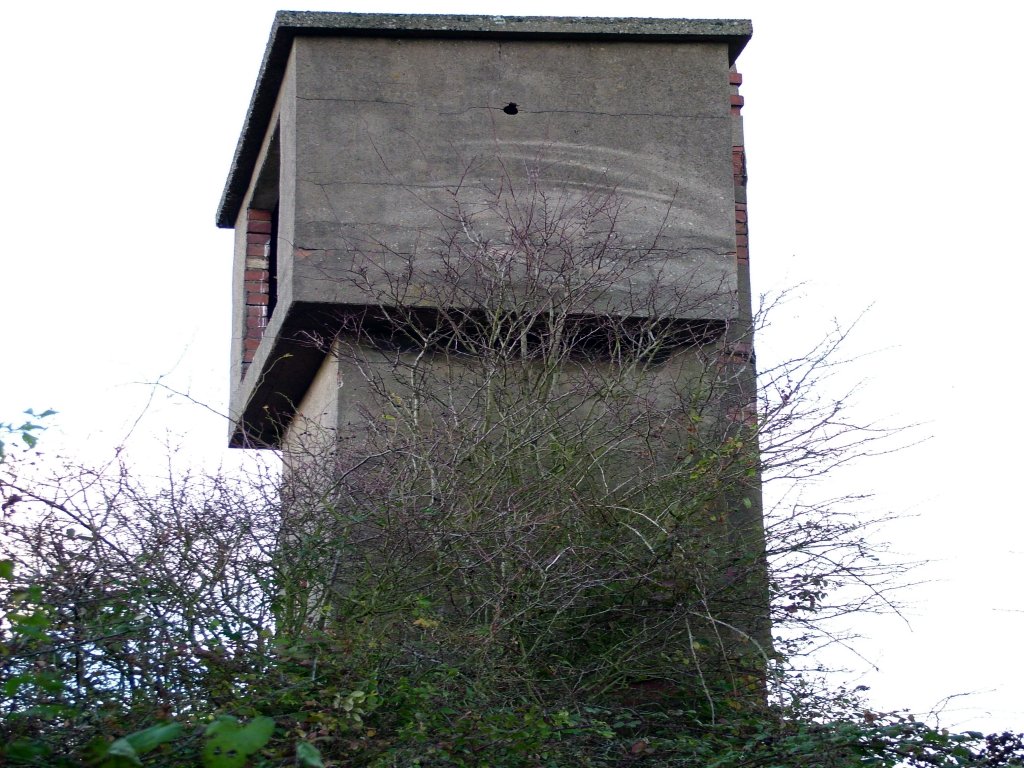 Click now to see this image full size.