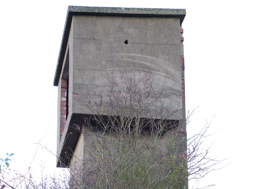 Click now to see this image full size.