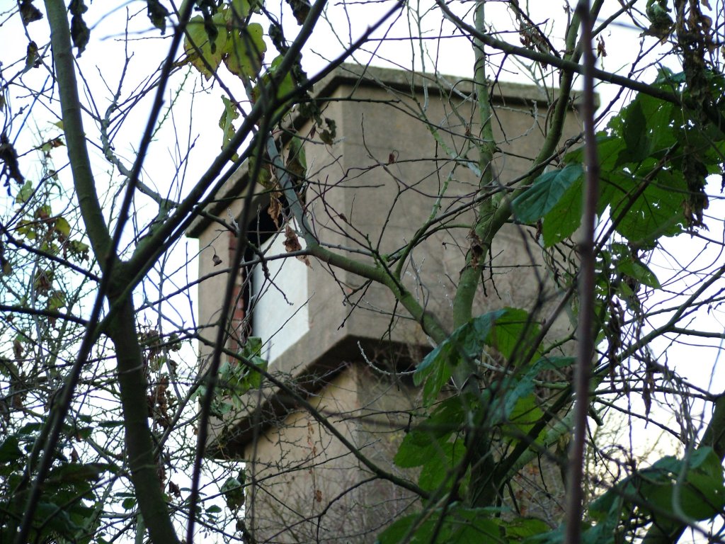 Click now to see this image full size.