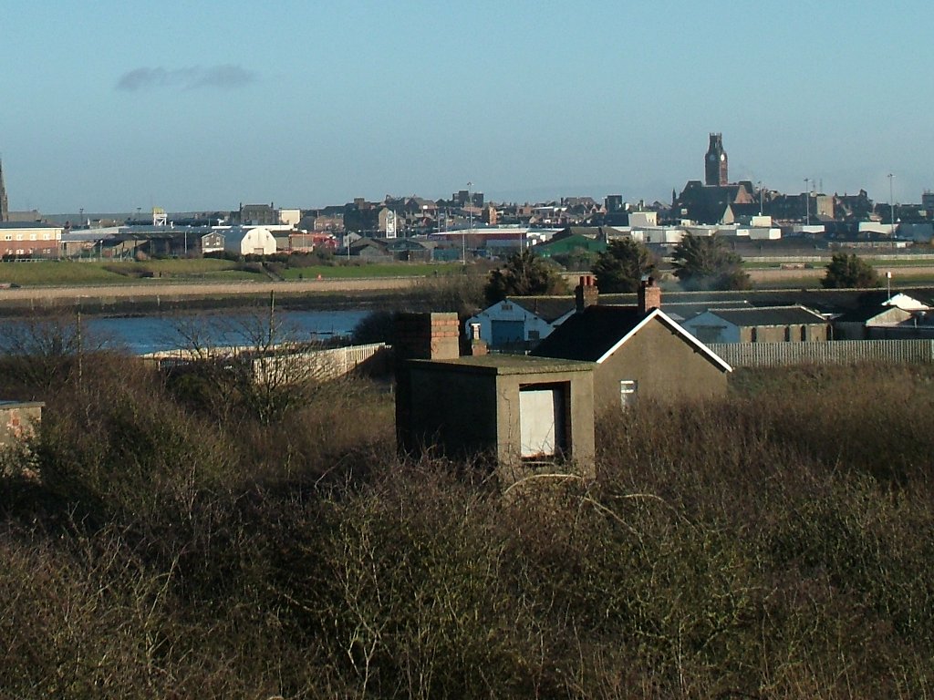 Click now to see this image full size.