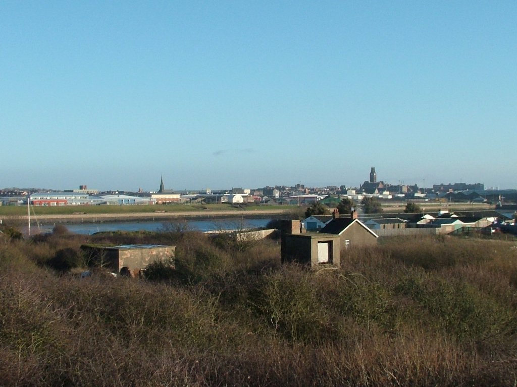 Click now to see this image full size.