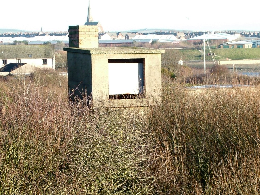 Click now to see this image full size.