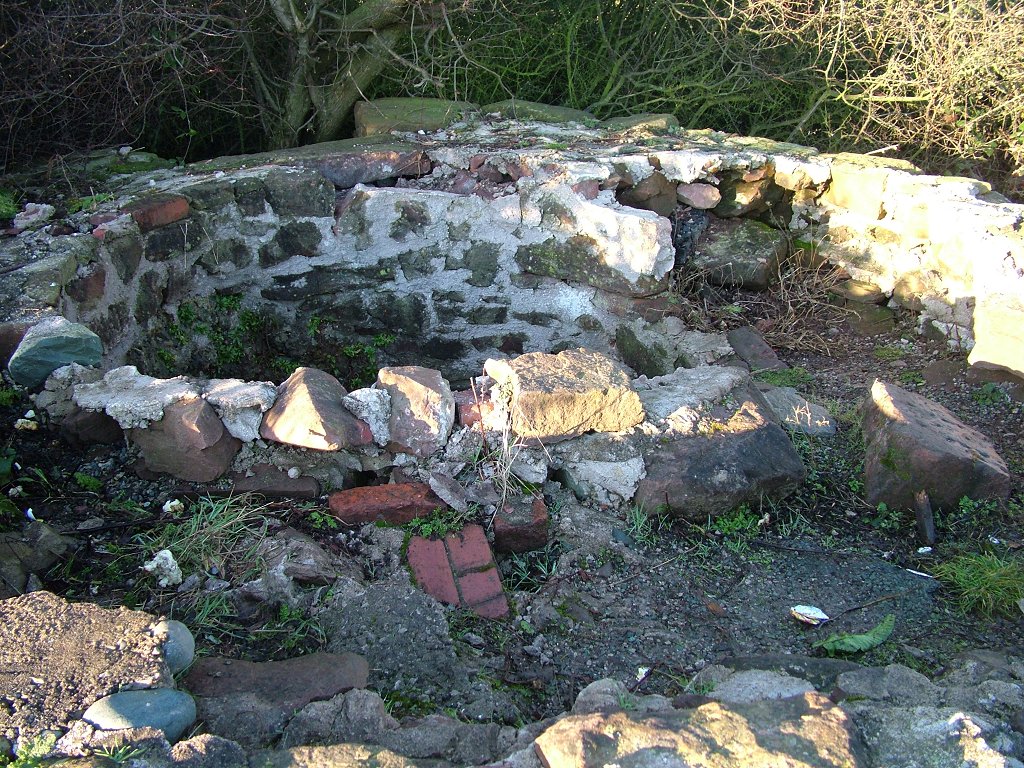 Click now to see this image full size.