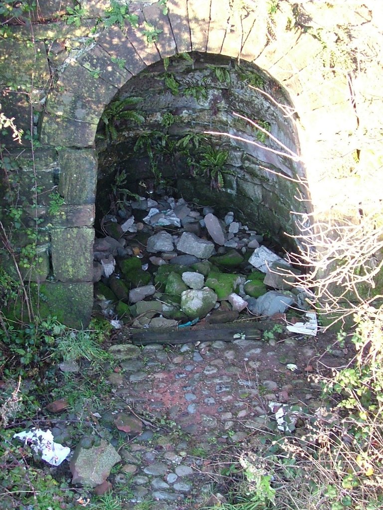 Click now to see this image full size.