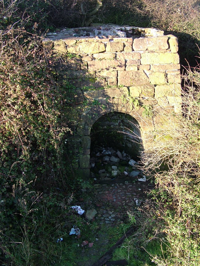 Click now to see this image full size.