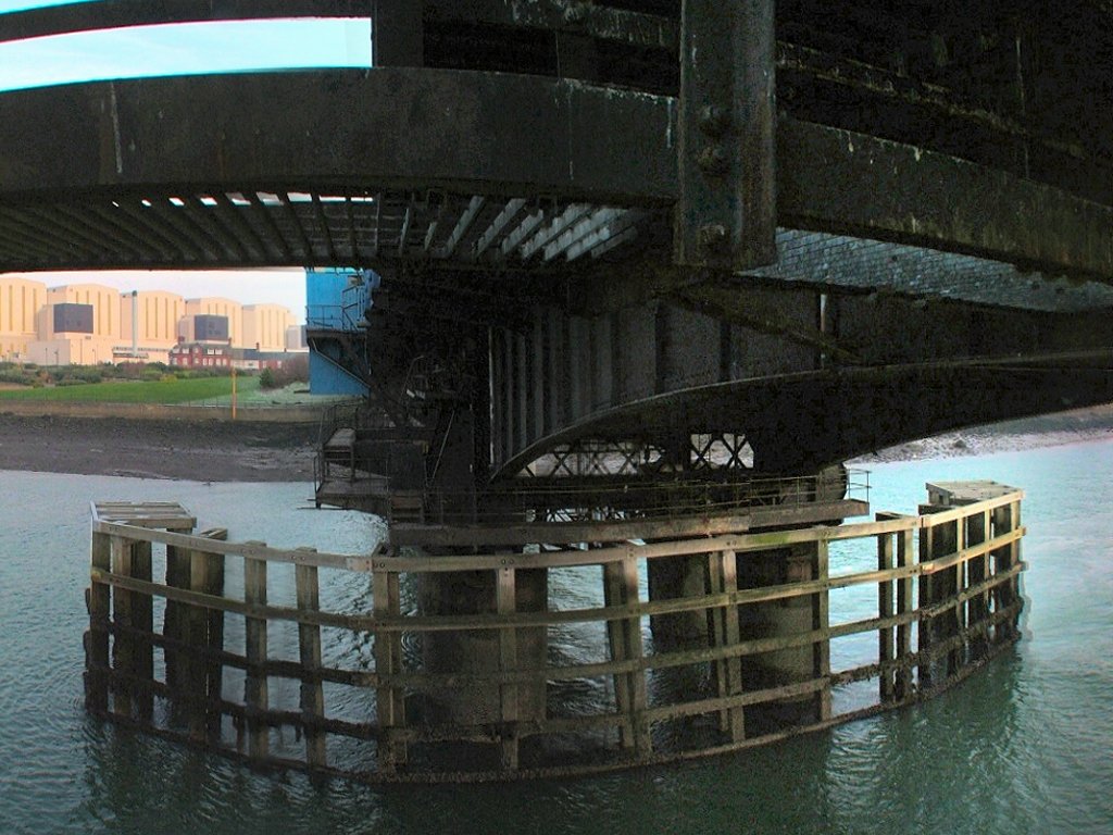 Click now to see this image full size.