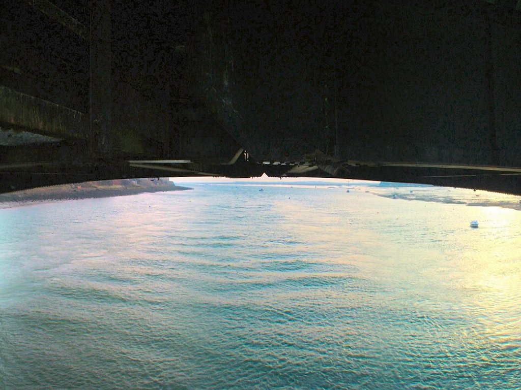 Click now to see this image full size.