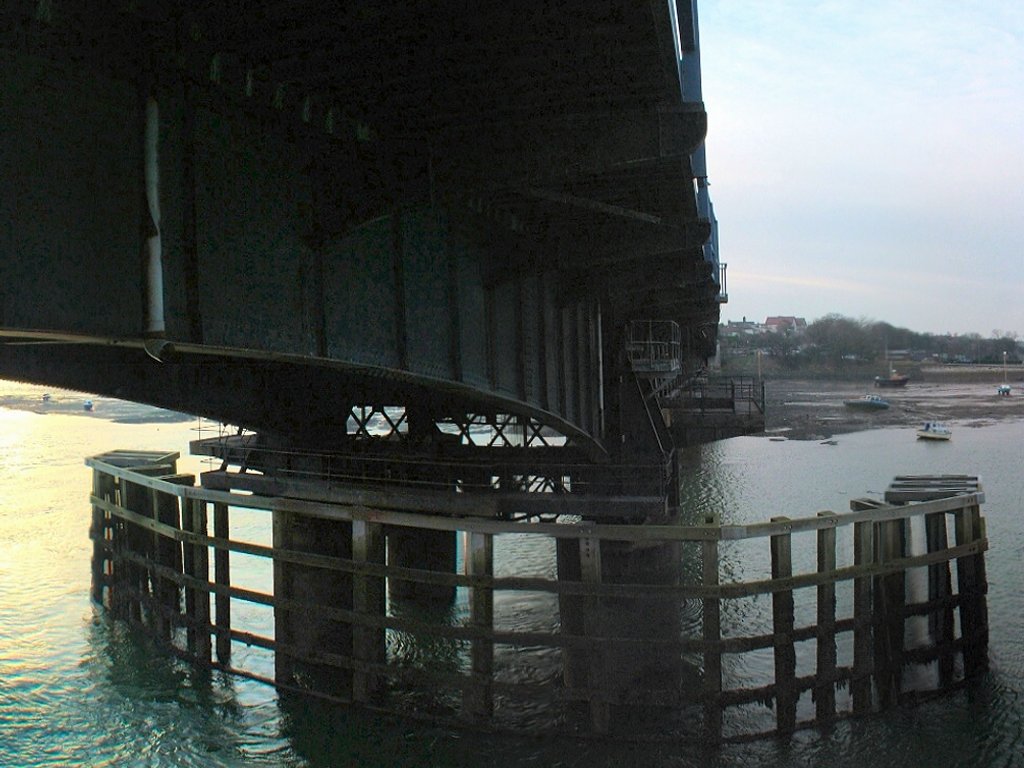 Click now to see this image full size.