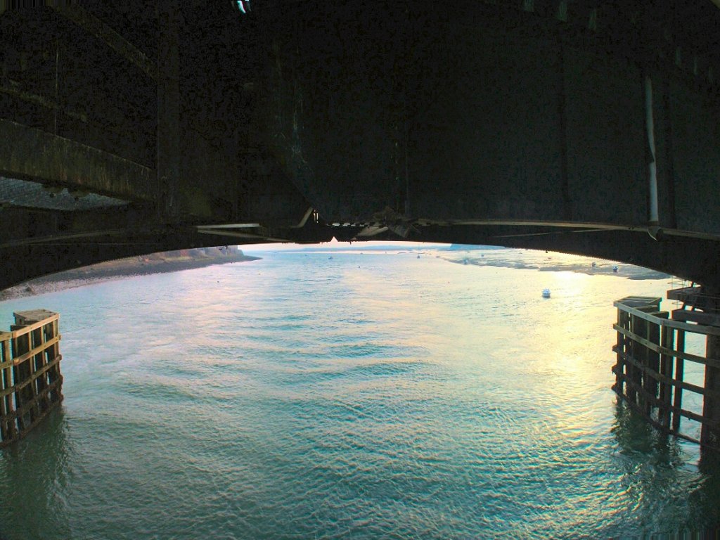 Click now to see this image full size.