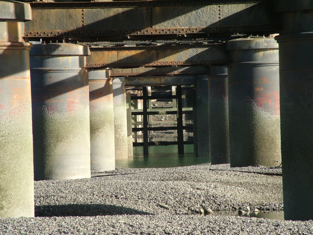 Click now to see this image full size.